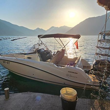 Hill Apartments Kotor Dış mekan fotoğraf