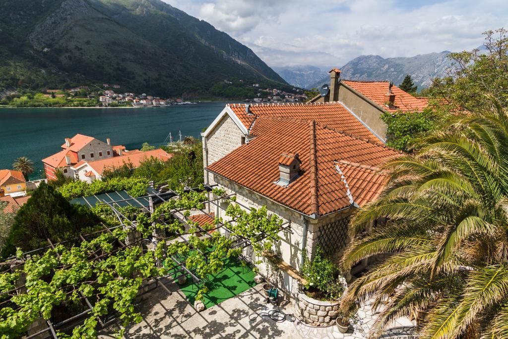 Hill Apartments Kotor Dış mekan fotoğraf